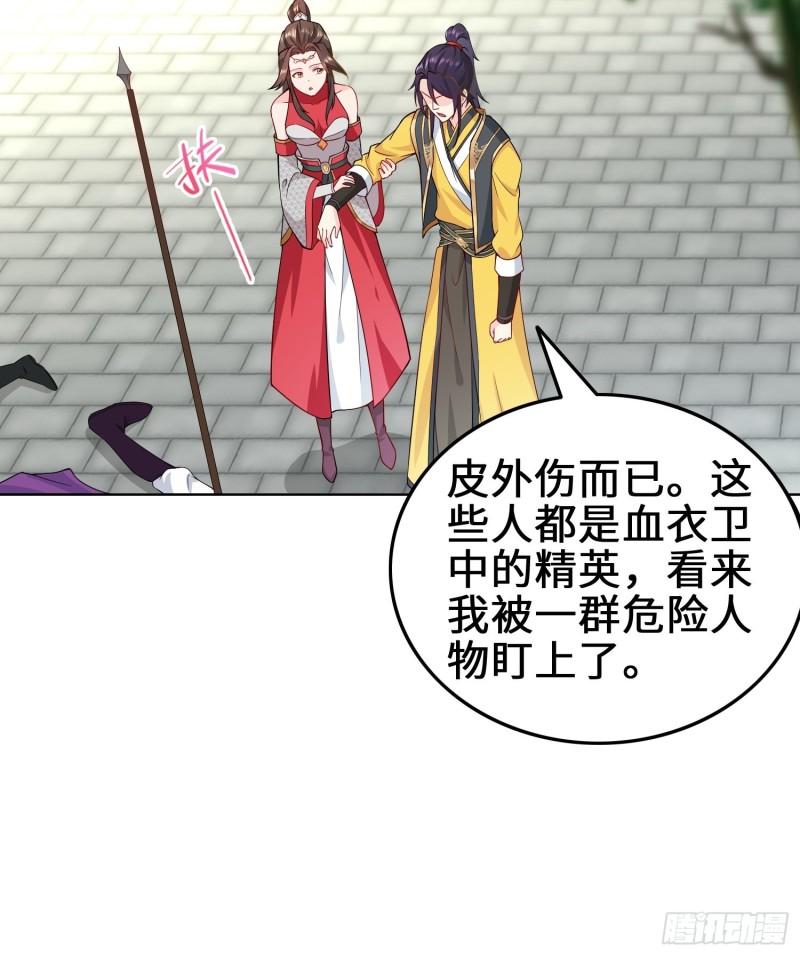 纳兰城的刺客19