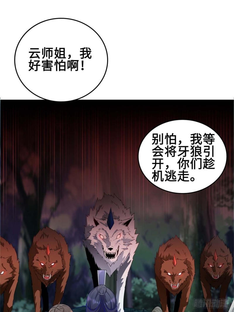 黄毛鸡血脉14