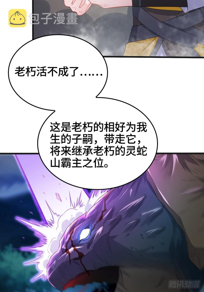 龙王龟的意志13
