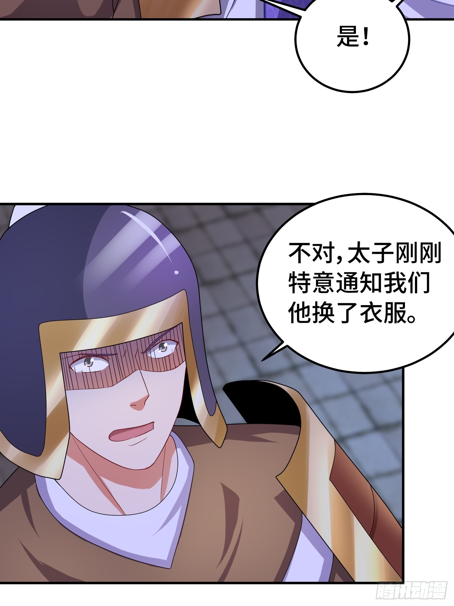 狸猫换太子27