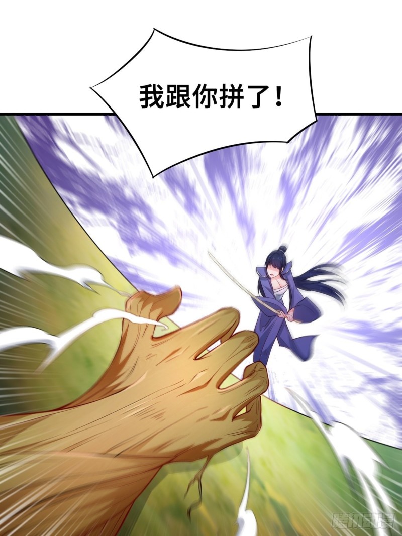 再遇纤尘33