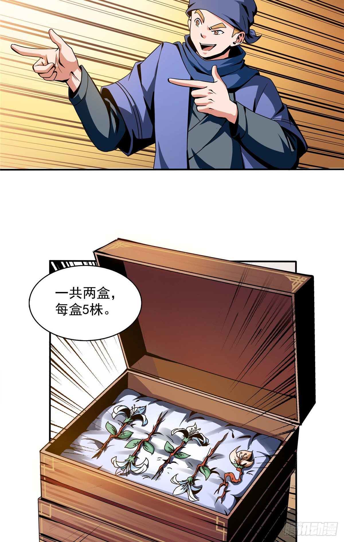 25 寒阳母草27