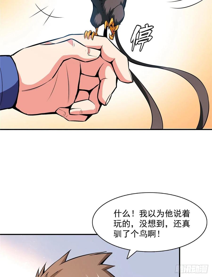 141 我驯了个鸟46