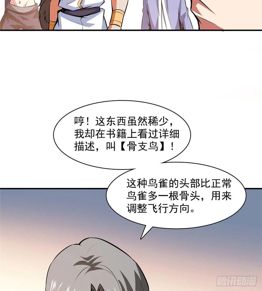 142 云电古雀29