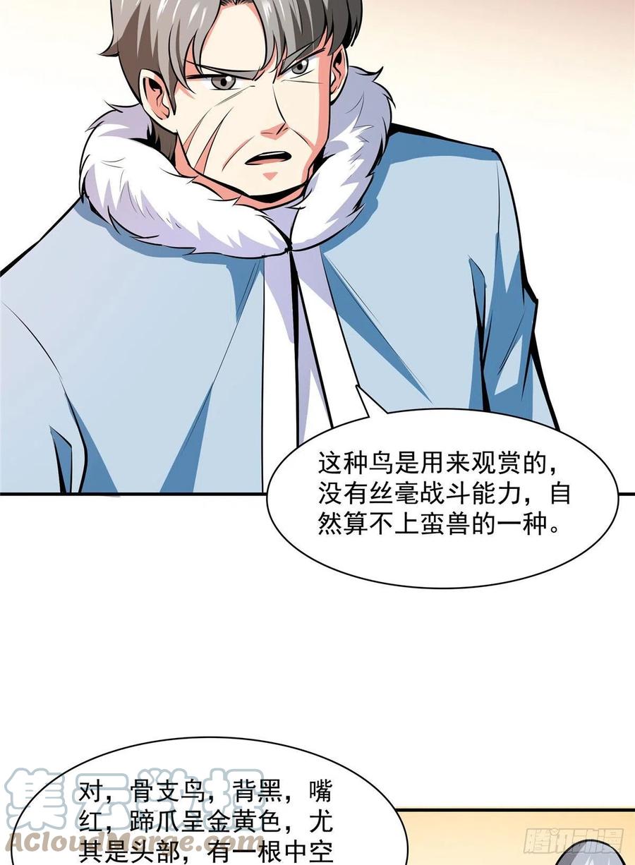 142 云电古雀30
