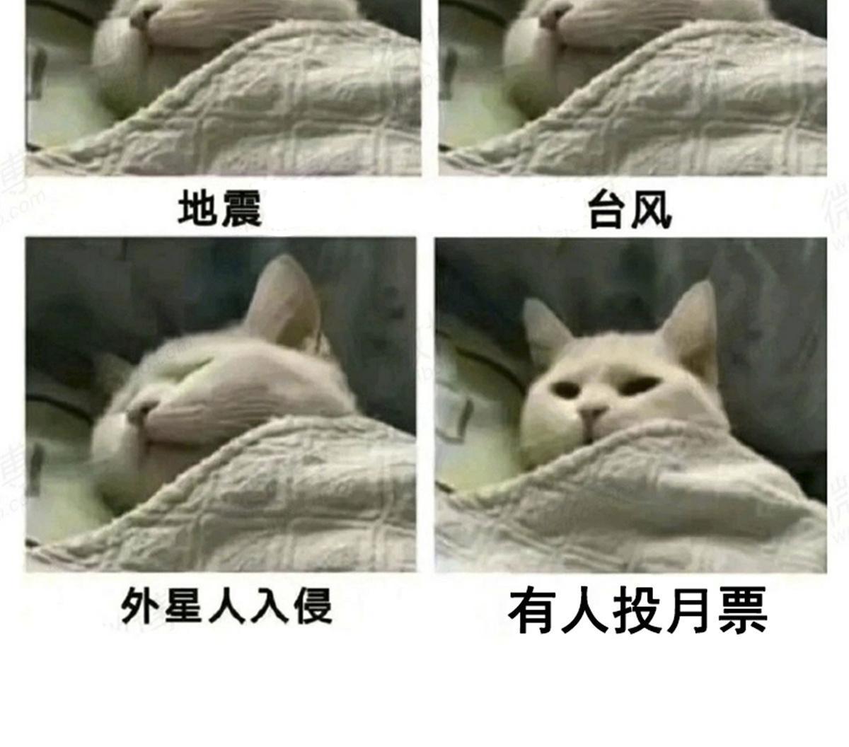 第195话  身份暴露44
