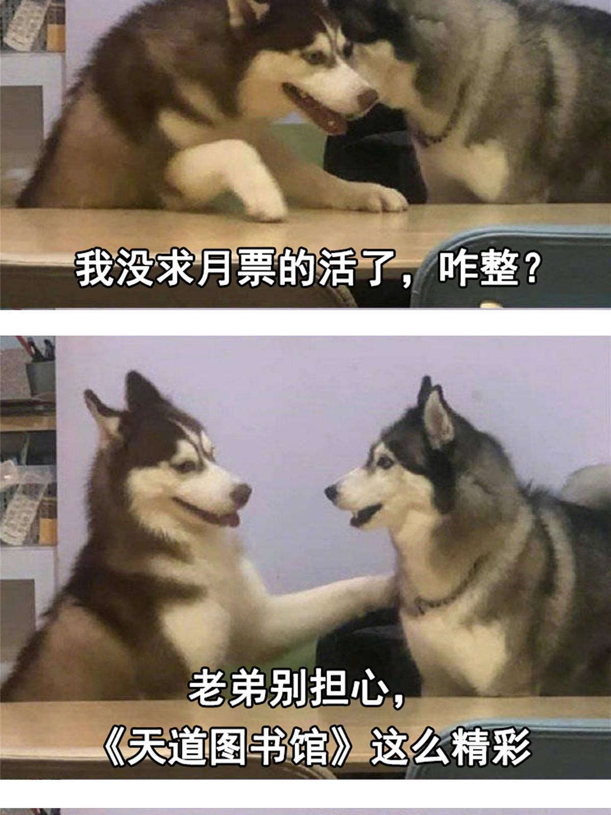 第187话 见过师祖！44