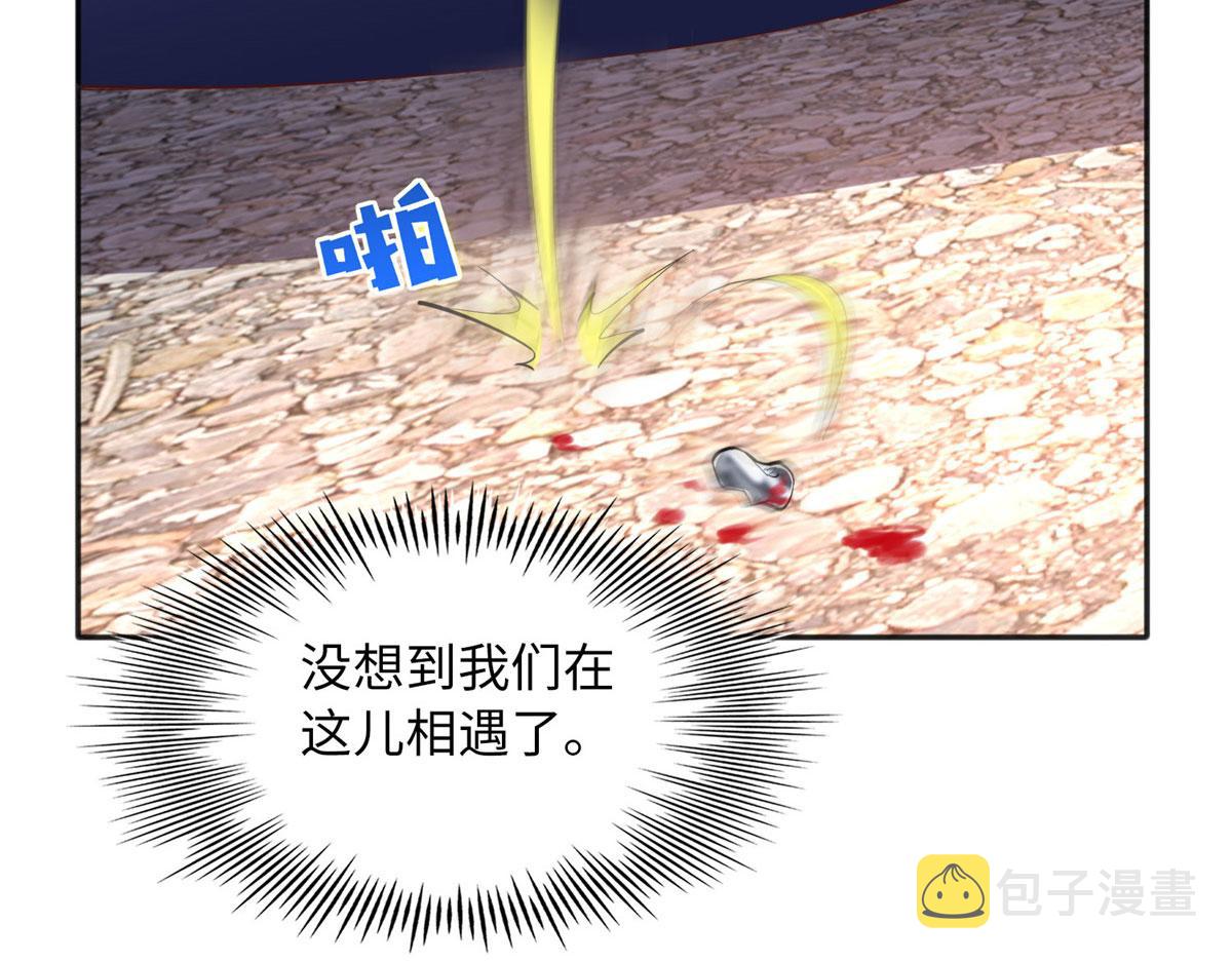 094 再无飞鹰飞鸟27