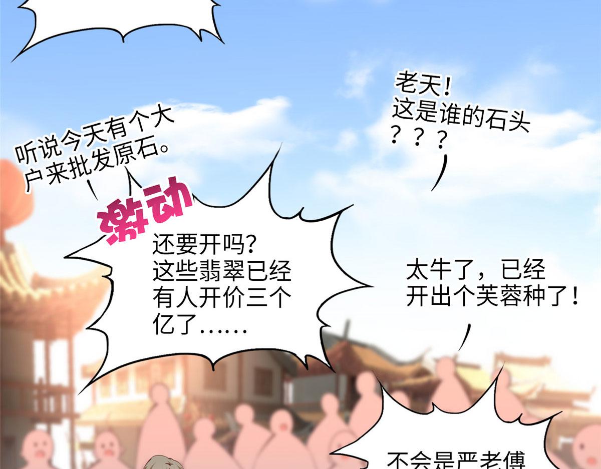 041 这是哪家赌石千金？64