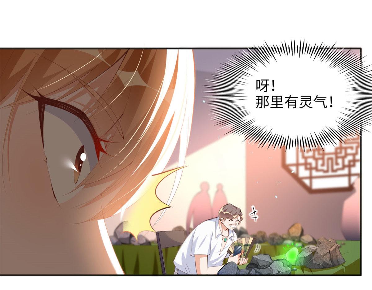 019 赌石大会来了！15
