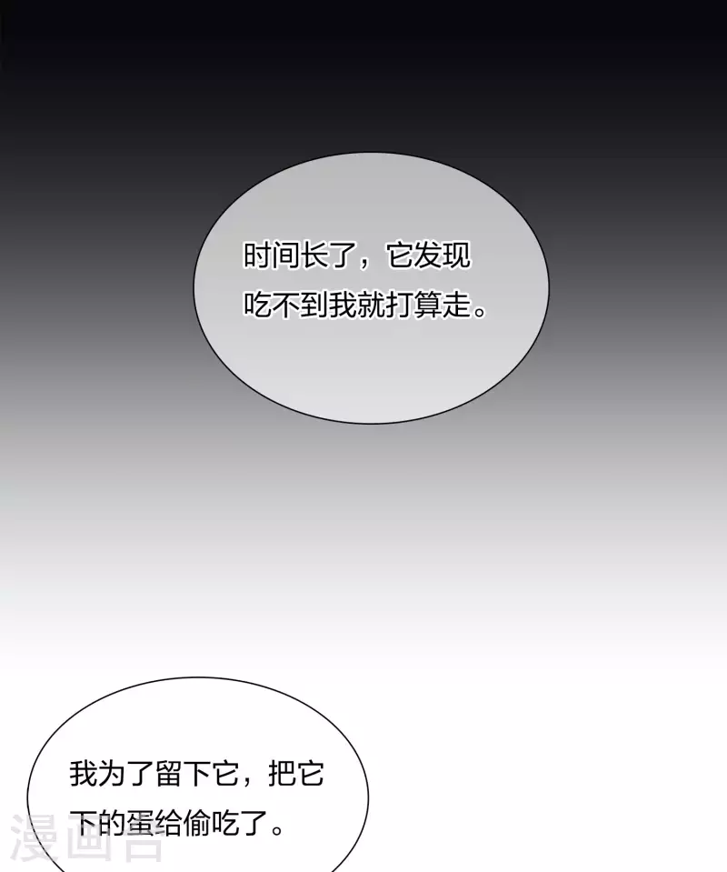 第22话 回忆29
