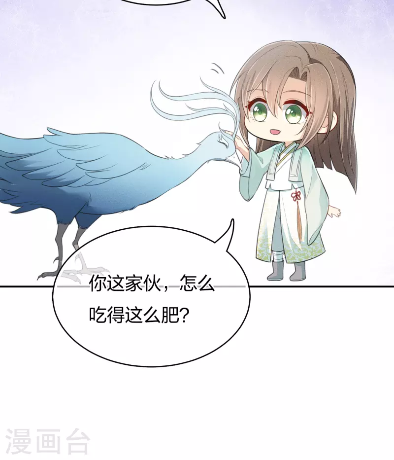 第75话 玄鸟11