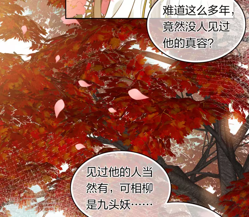 第163话 庇佑3