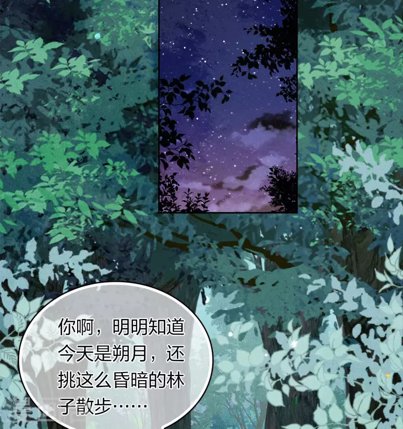 第164话 萤火17