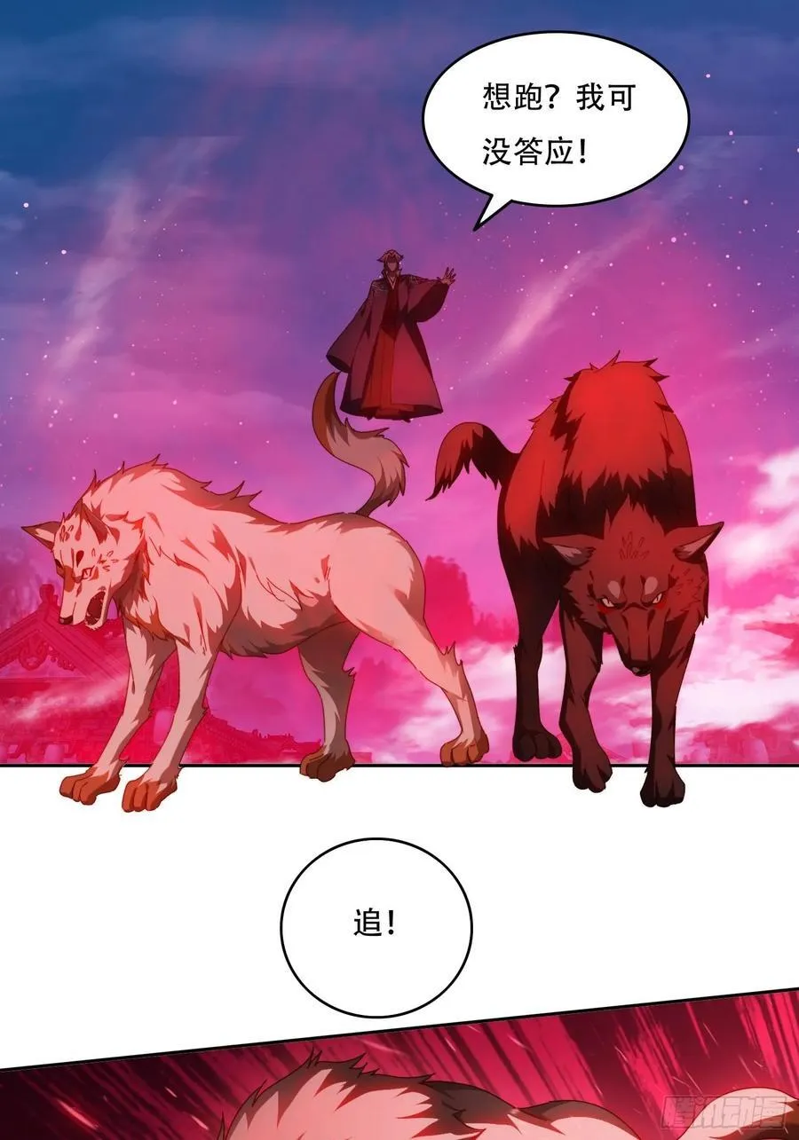 79 赵子武登场17
