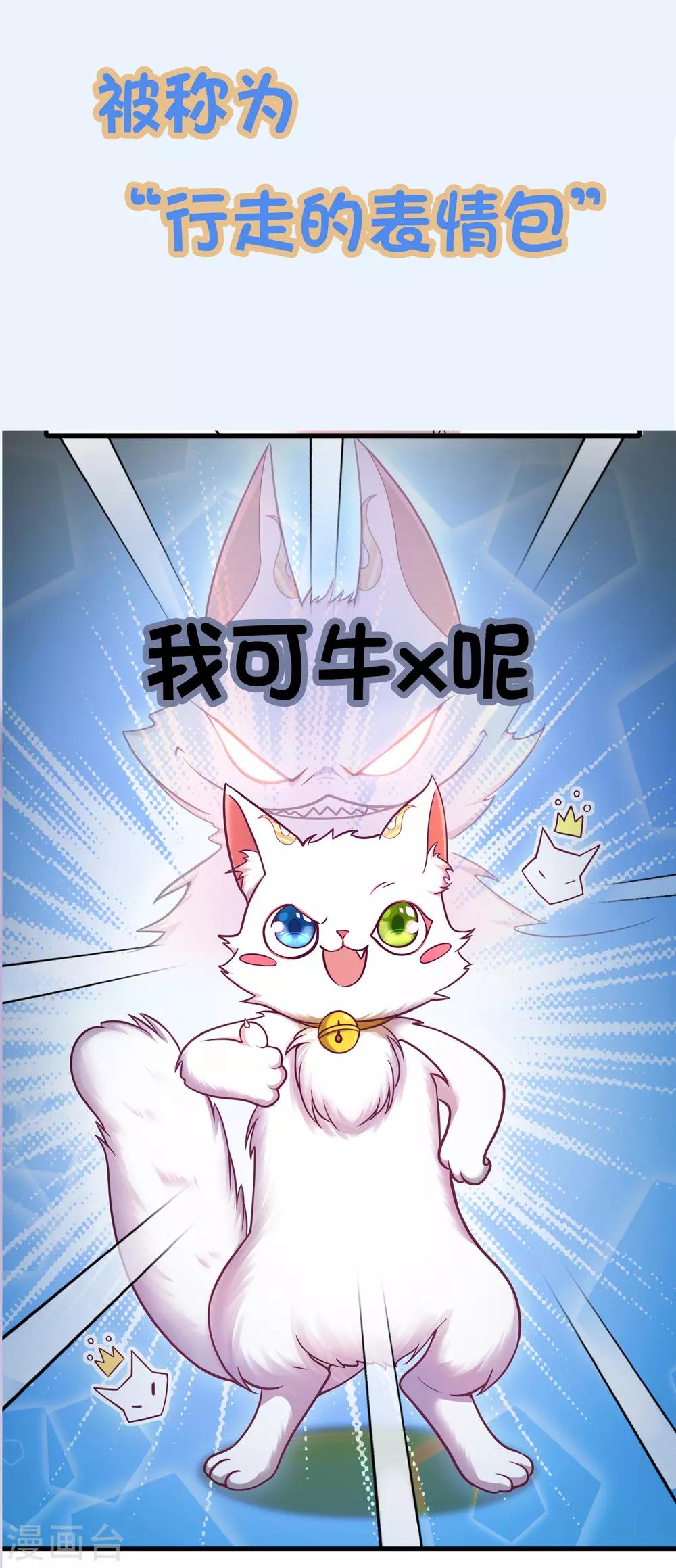 周周表情包 及福利活动2