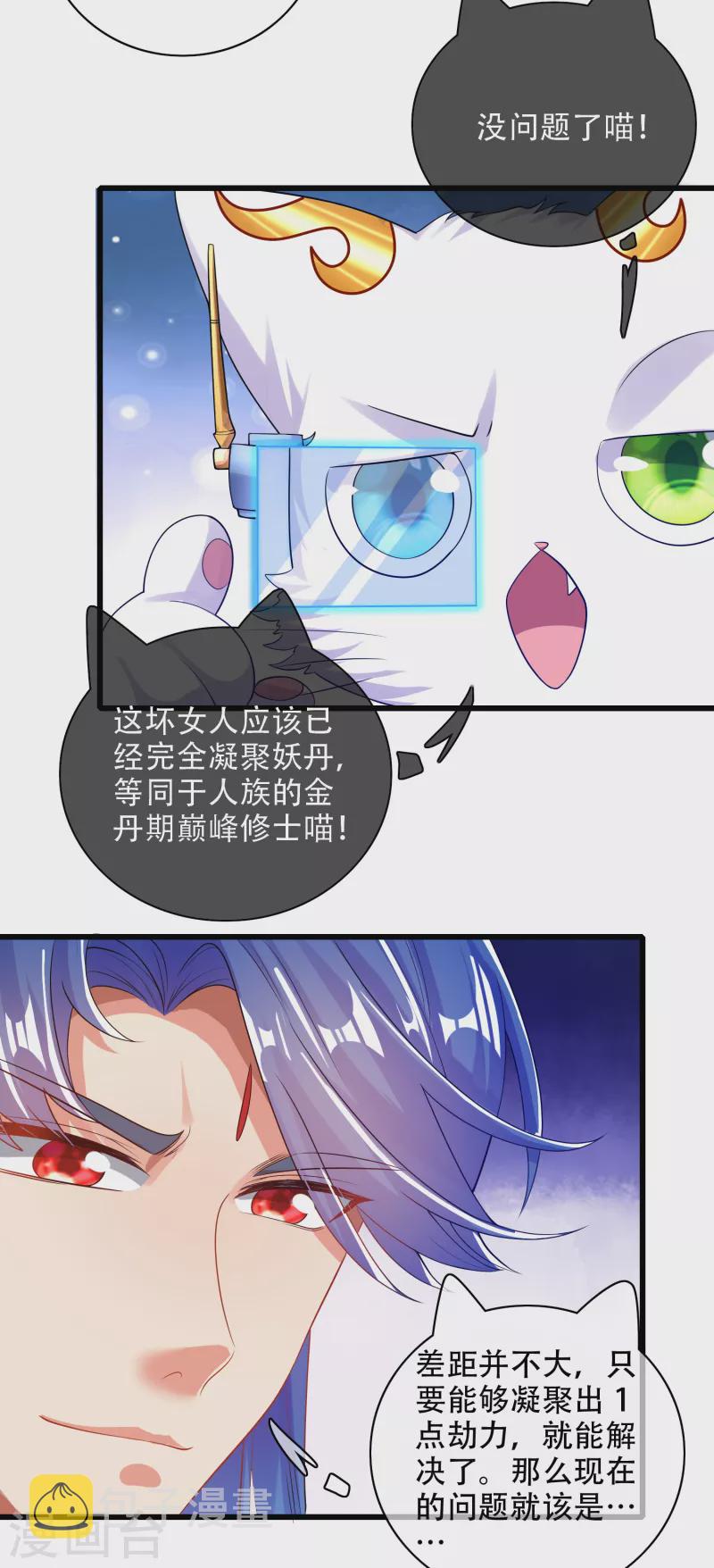 第114话 周周是有用的好猫猫24