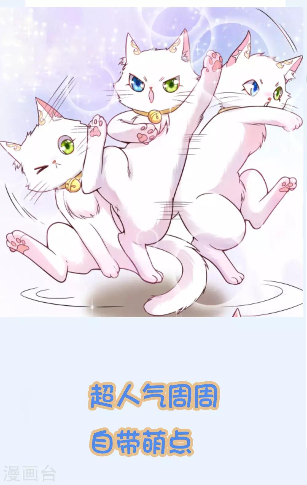 周周表情包 及福利活动1