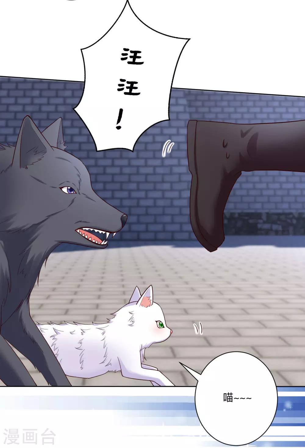 第128话 无敌损招2