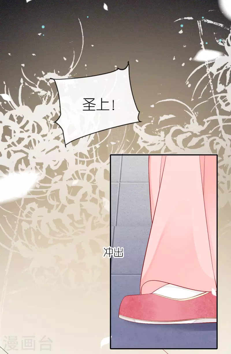 第26话 面圣求情5