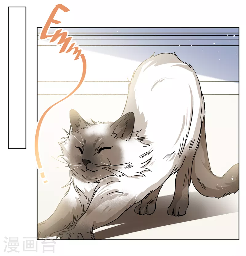 第233话 意外突降22