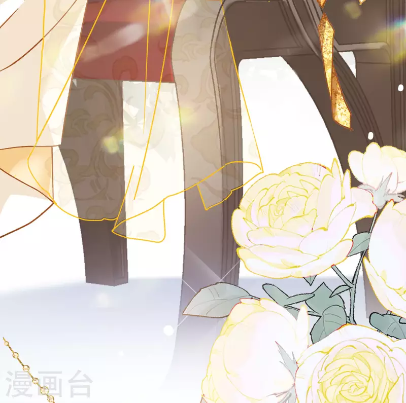第203话 定妆照319