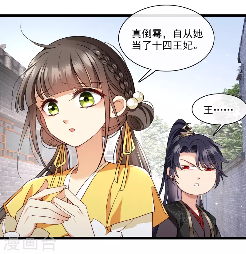 第100话 王妃？！22