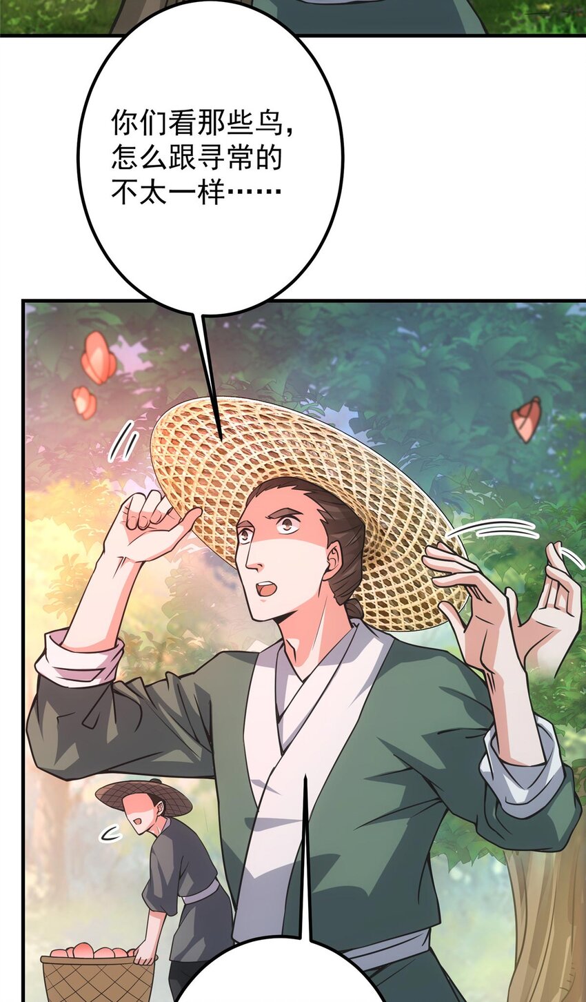 100 羣鸟灾祸4