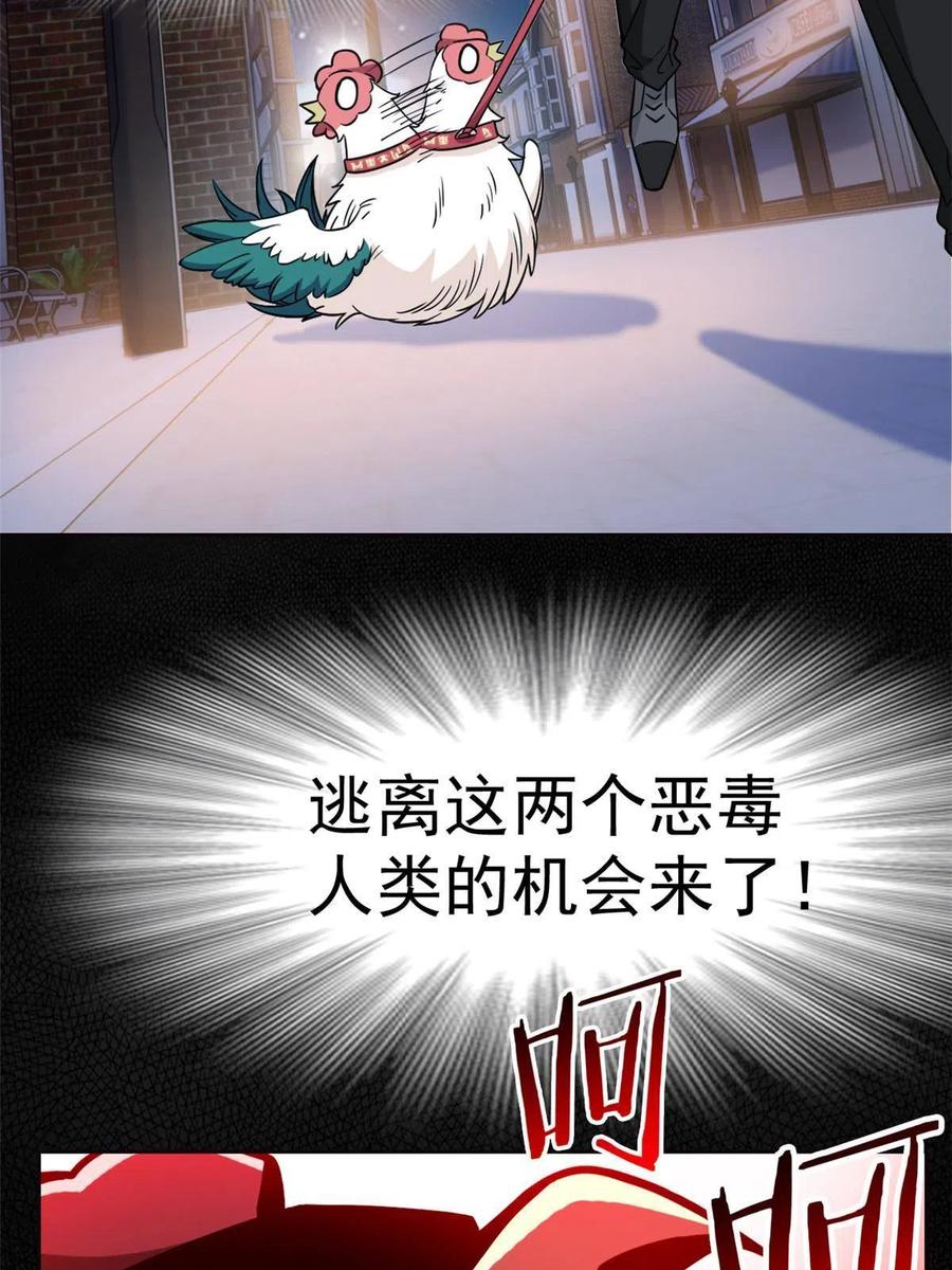 79 公鸡领路，法王被坑37