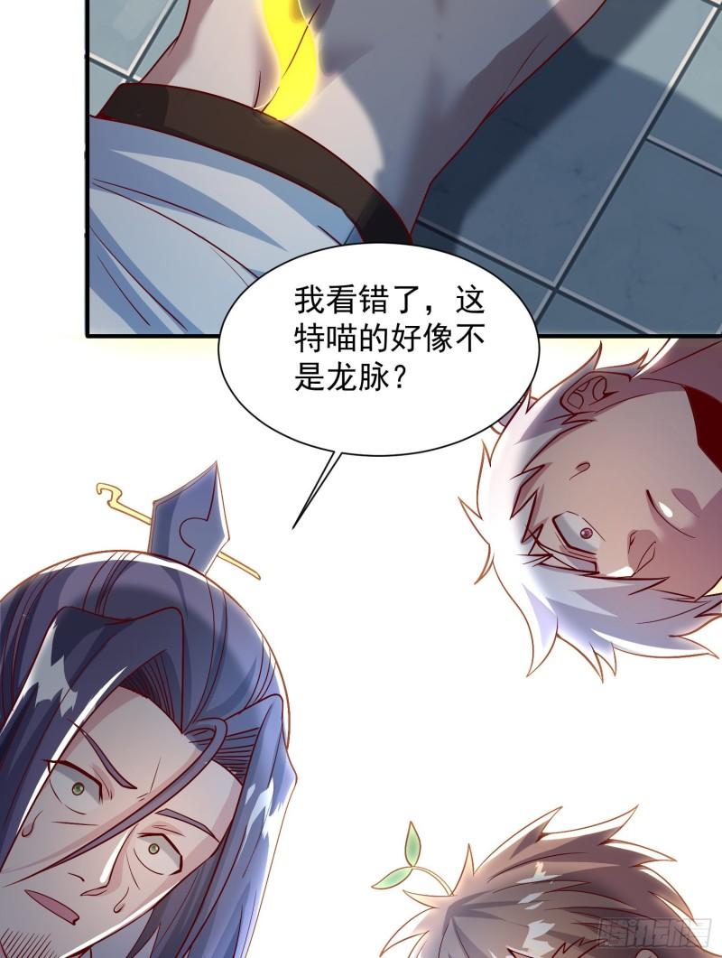 第302话 罕见龙脉？41