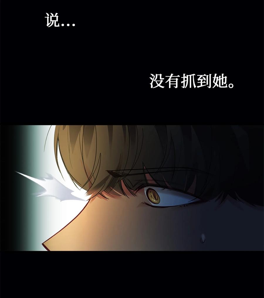 71 蜘蛛网10