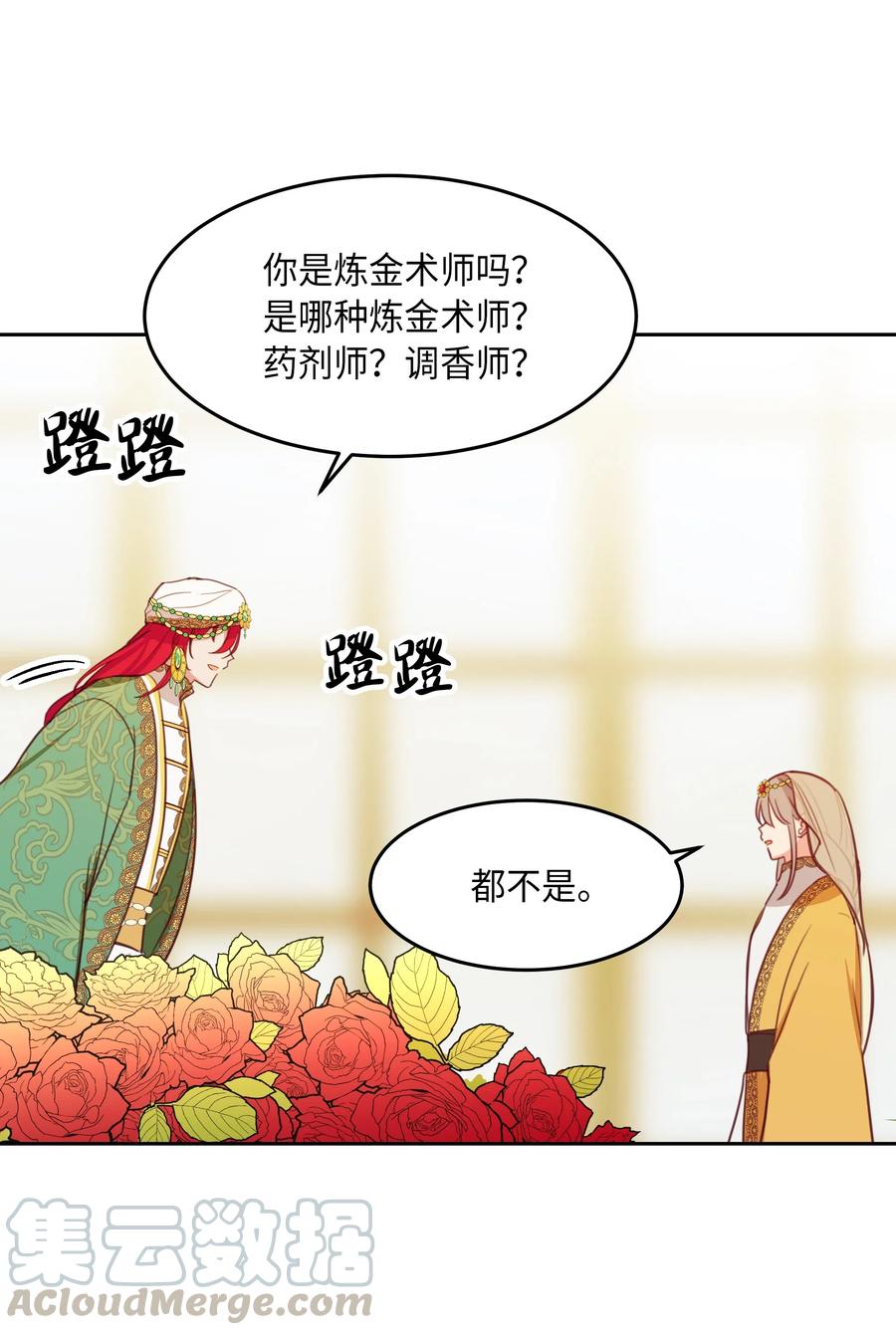 11 藏红花52