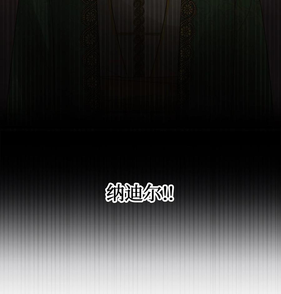 71 蜘蛛网13