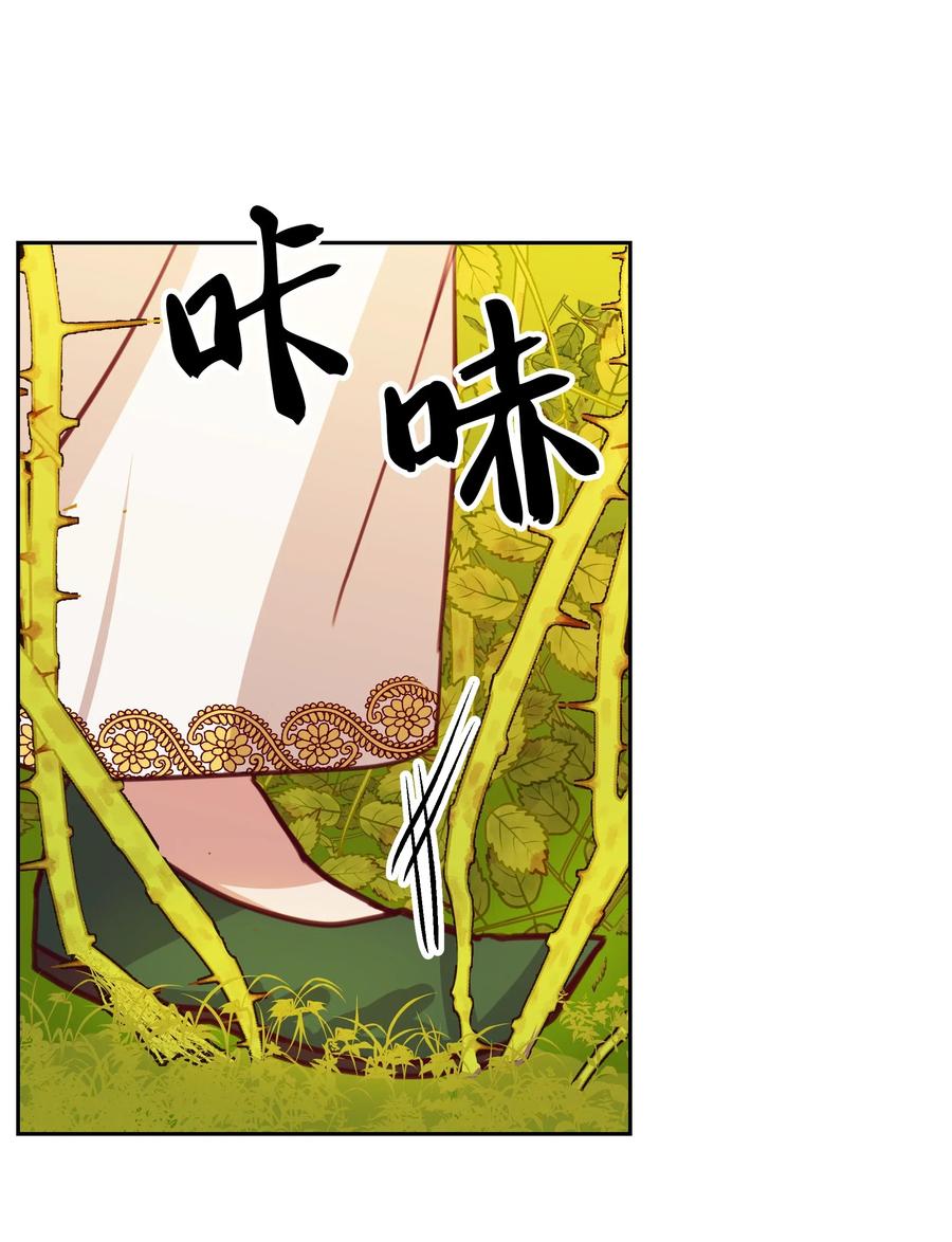 11 藏红花49