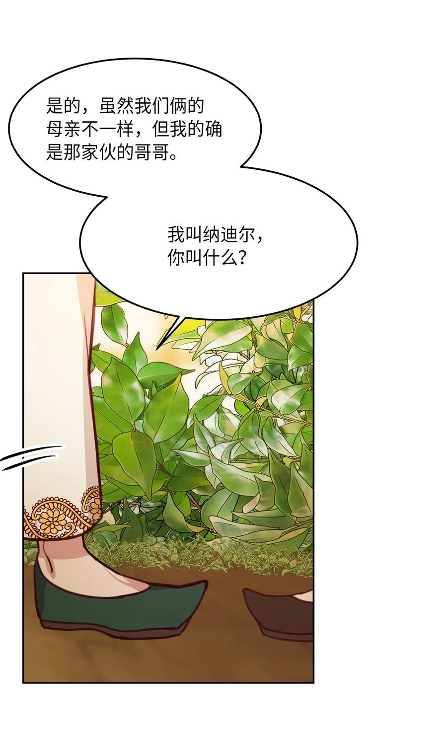 11 藏红花58