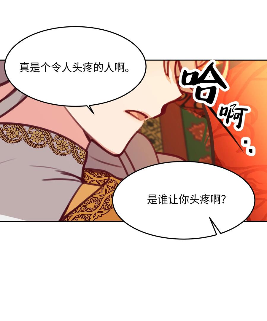 11 藏红花6