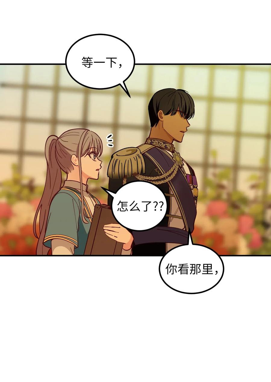 48 婚事38