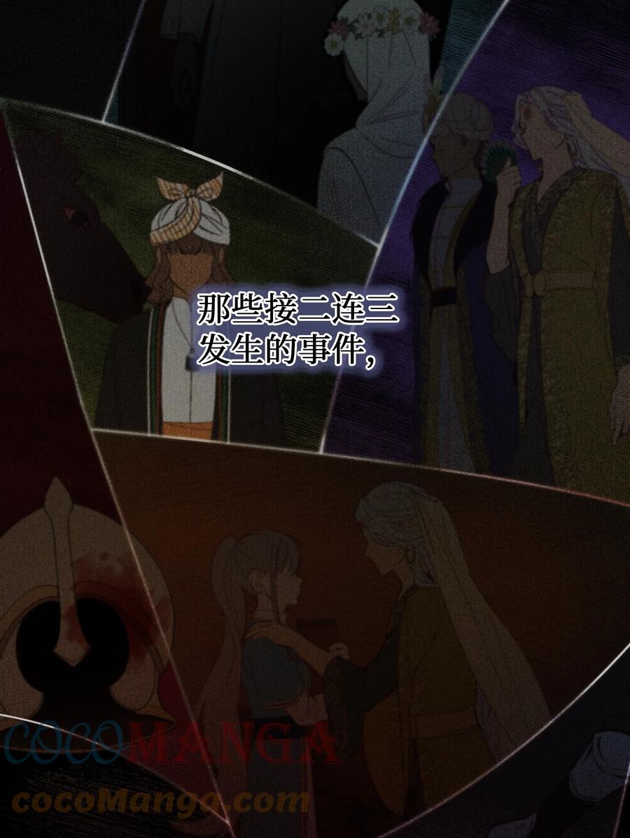 71 蜘蛛网45