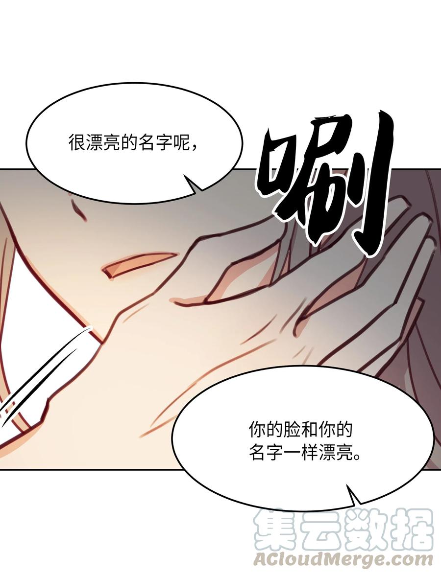 11 藏红花60