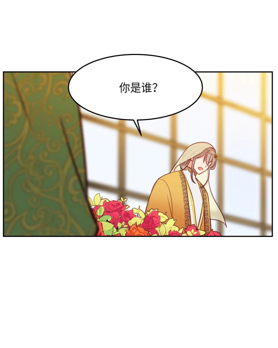 11 藏红花50