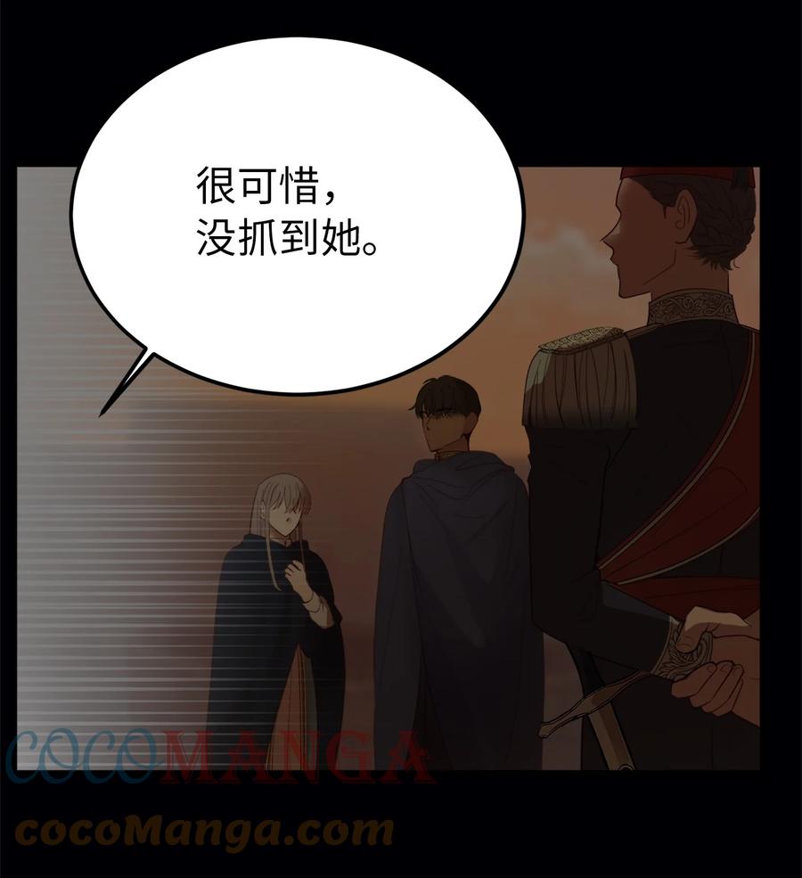 71 蜘蛛网9