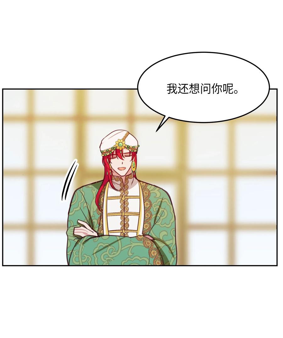 11 藏红花51