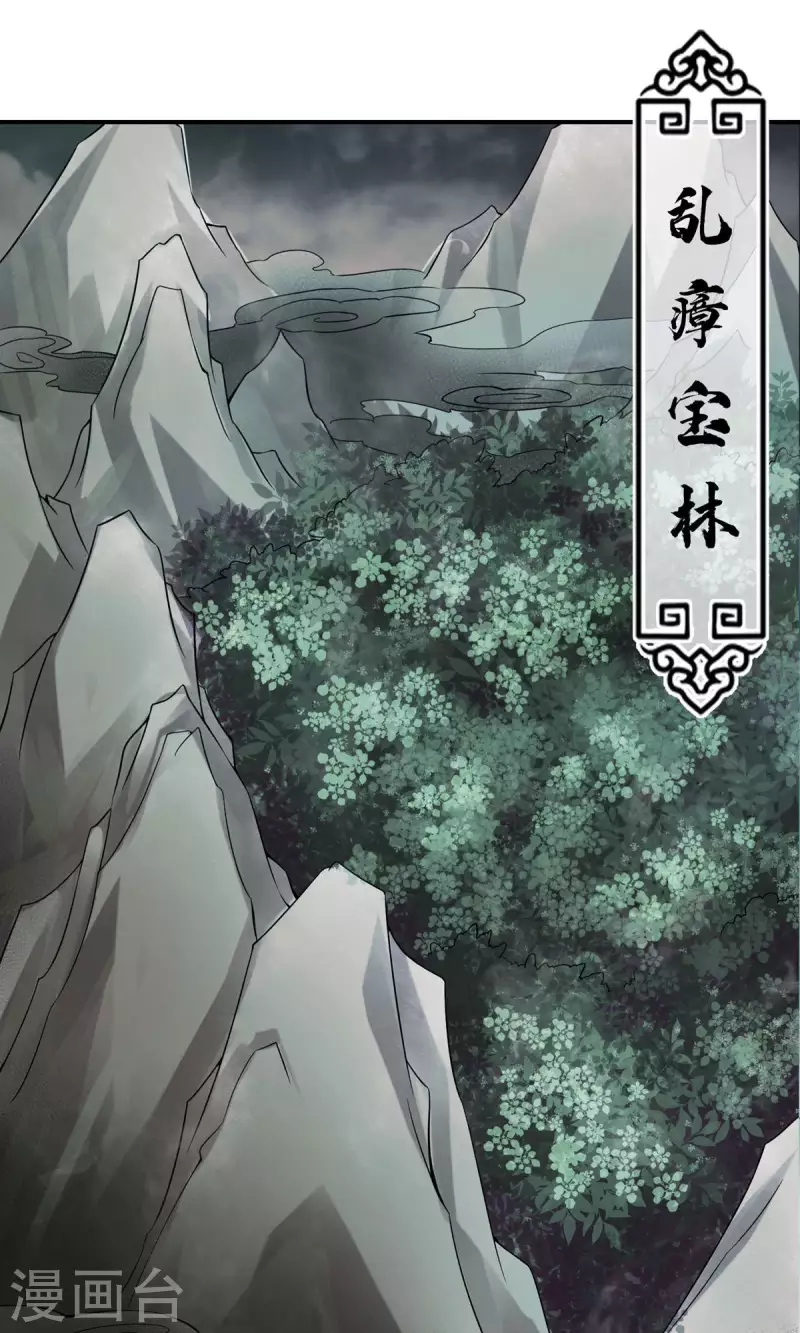 第8话 乱瘴宝林24