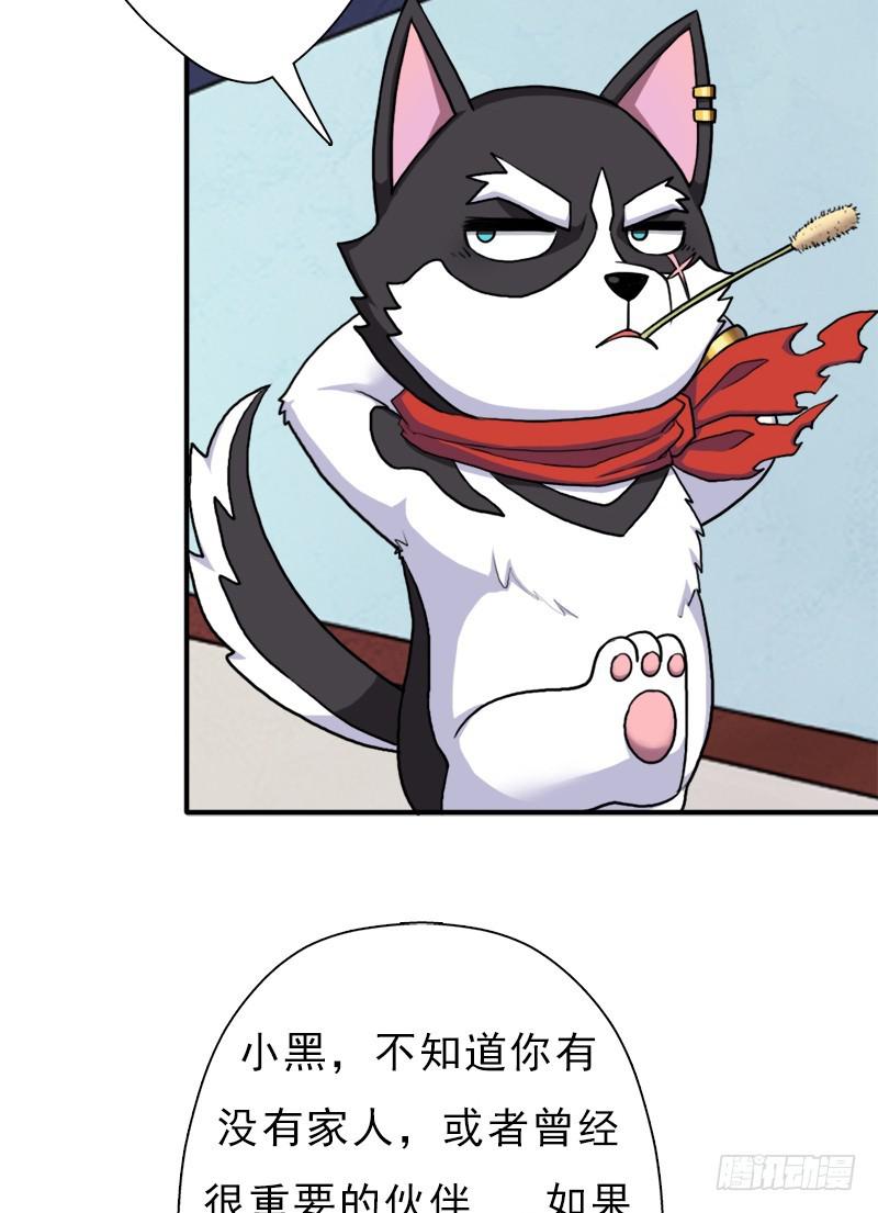 金蟾大人12