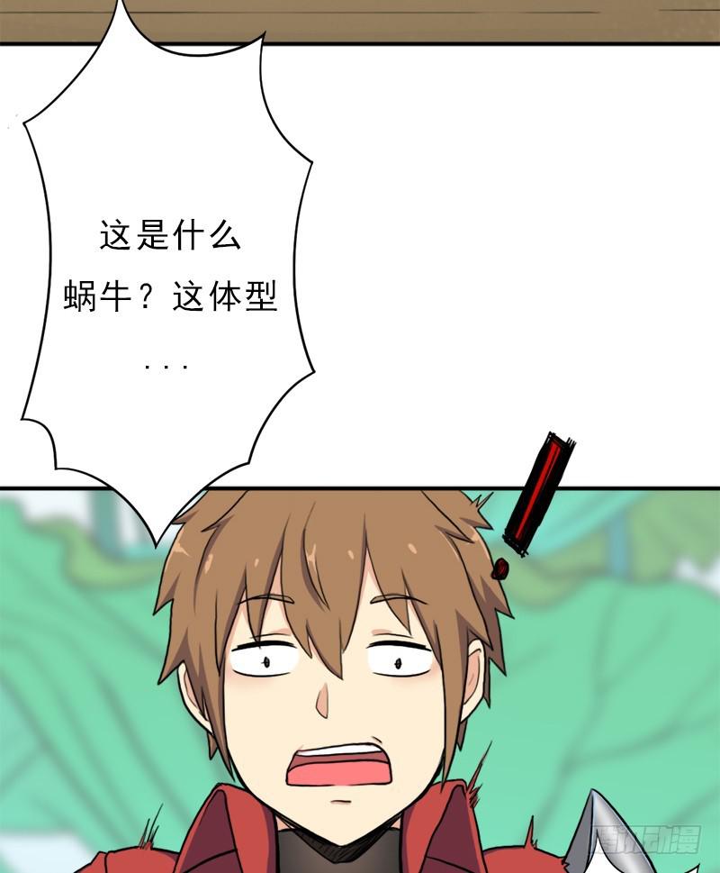 金铃儿12