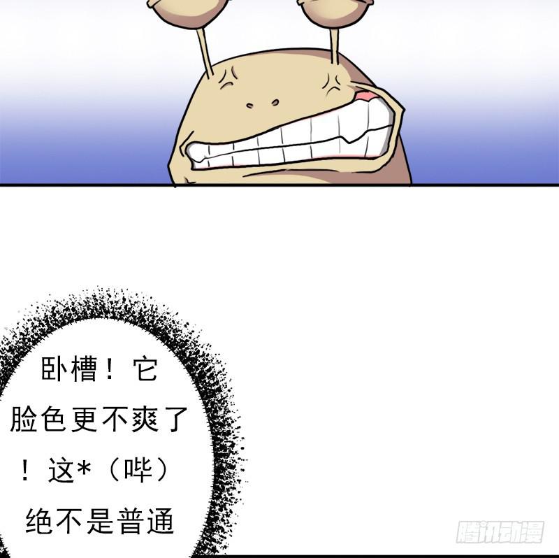 金铃儿17