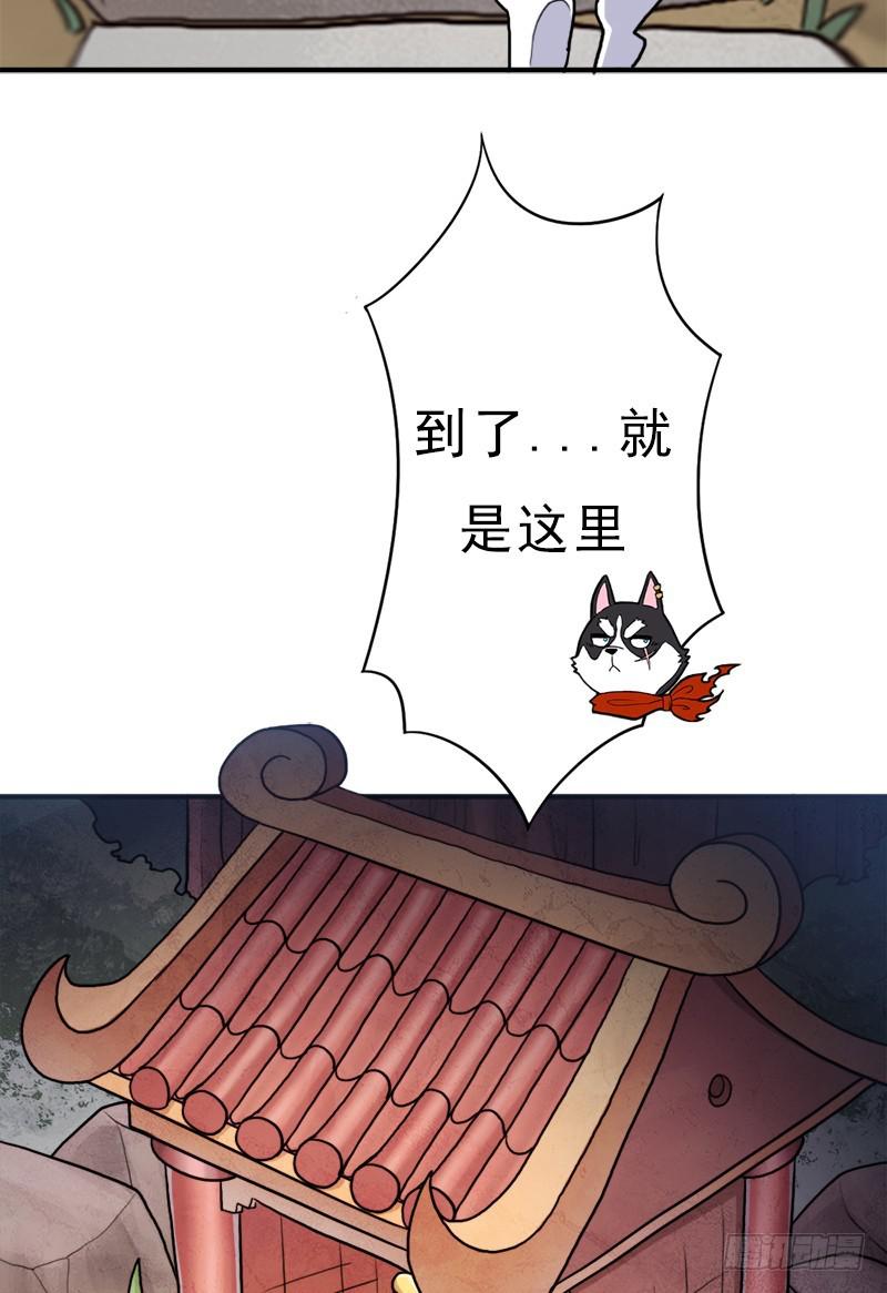 金蟾大人48