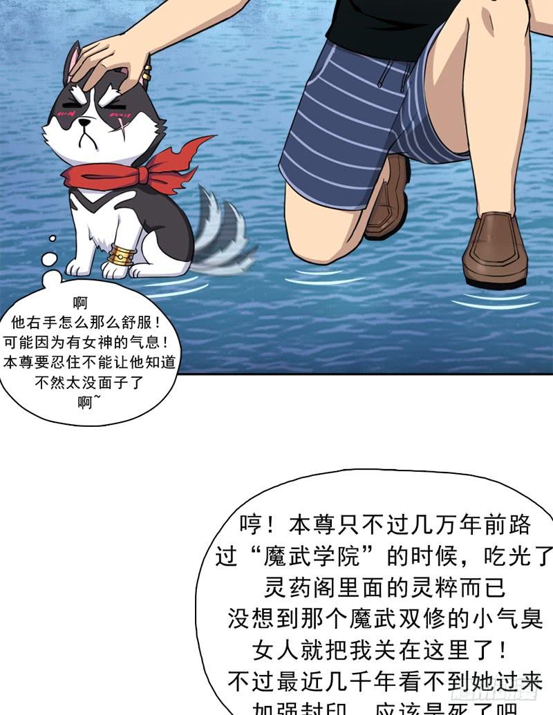邪尊与女神曦33