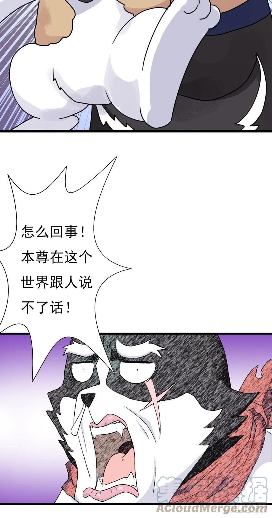 （第二季）这里是什麽球？45