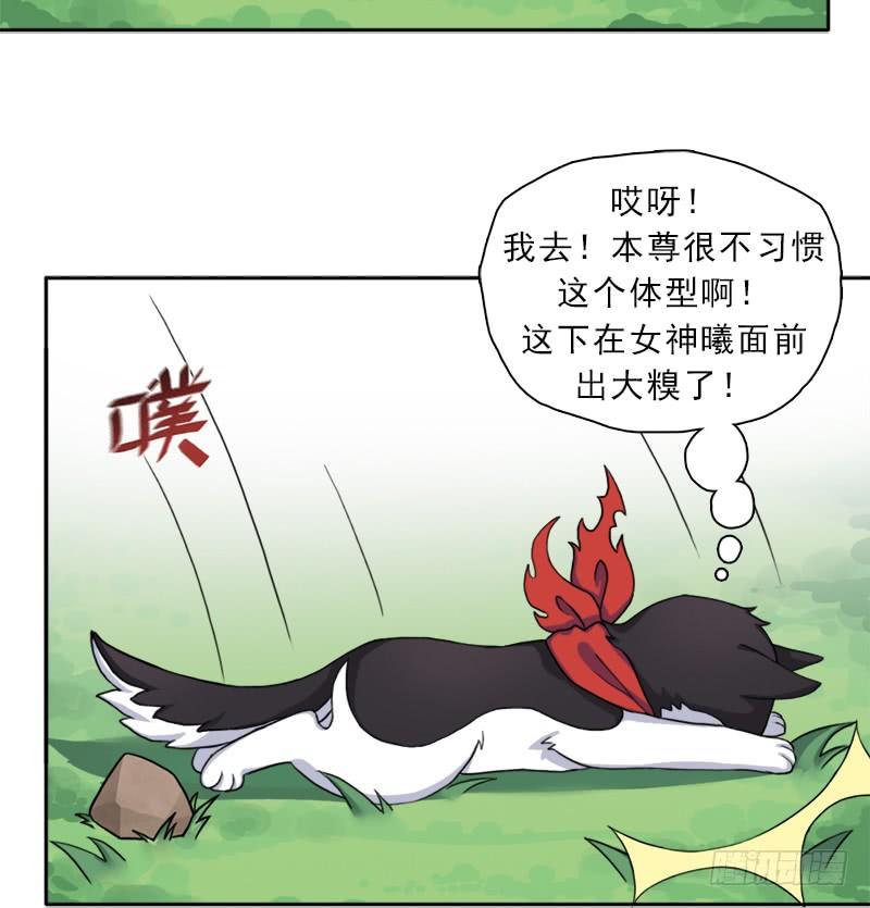 邪尊与女神曦25